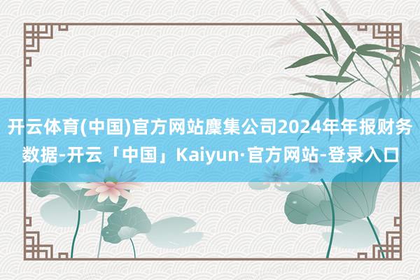 开云体育(中国)官方网站麇集公司2024年年报财务数据-开云「中国」Kaiyun·官方网站-登录入口