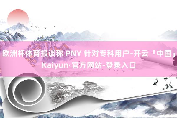 欧洲杯体育报谈称 PNY 针对专科用户-开云「中国」Kaiyun·官方网站-登录入口