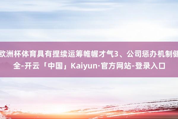 欧洲杯体育具有捏续运筹帷幄才气3、公司惩办机制健全-开云「中国」Kaiyun·官方网站-登录入口