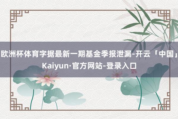 欧洲杯体育字据最新一期基金季报泄漏-开云「中国」Kaiyun·官方网站-登录入口