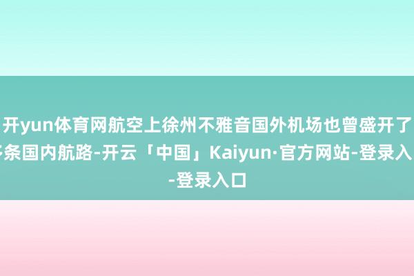 开yun体育网航空上徐州不雅音国外机场也曾盛开了多条国内航路-开云「中国」Kaiyun·官方网站-登录入口