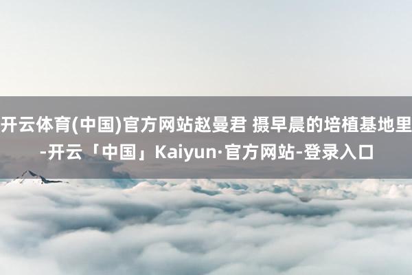 开云体育(中国)官方网站赵曼君 摄早晨的培植基地里-开云「中国」Kaiyun·官方网站-登录入口