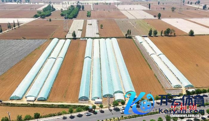 走进山西省忻州市忻府区北义井乡安邑村连片香瓜培植基地，一座座规范化培植大棚参差有致。赵曼君 摄