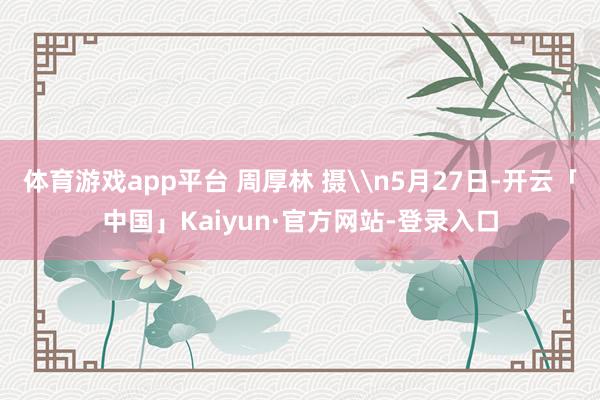 体育游戏app平台 周厚林 摄\n5月27日-开云「中国」Kaiyun·官方网站-登录入口