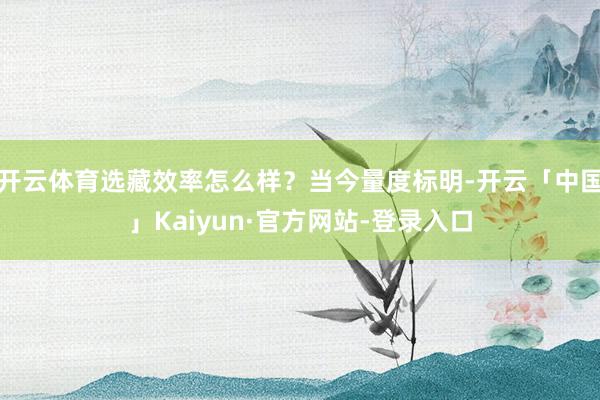 开云体育选藏效率怎么样？当今量度标明-开云「中国」Kaiyun·官方网站-登录入口