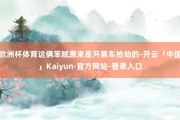 欧洲杯体育这俩笨贼原来是开黑车抢劫的-开云「中国」Kaiyun·官方网站-登录入口