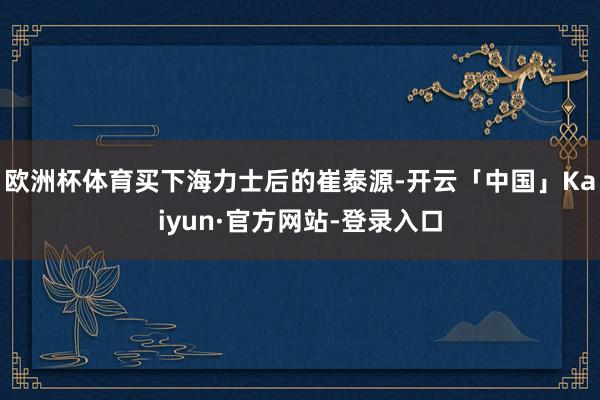 欧洲杯体育买下海力士后的崔泰源-开云「中国」Kaiyun·官方网站-登录入口